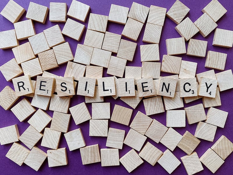 Resilience Building